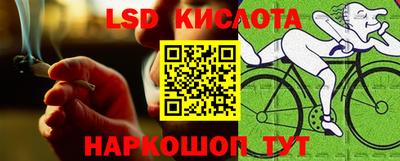прущие грибы Обнинск