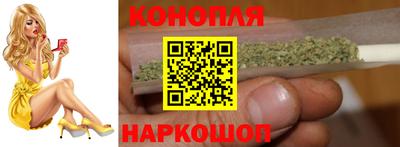прущие грибы Обнинск