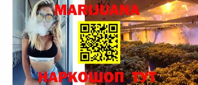 прущие грибы Обнинск