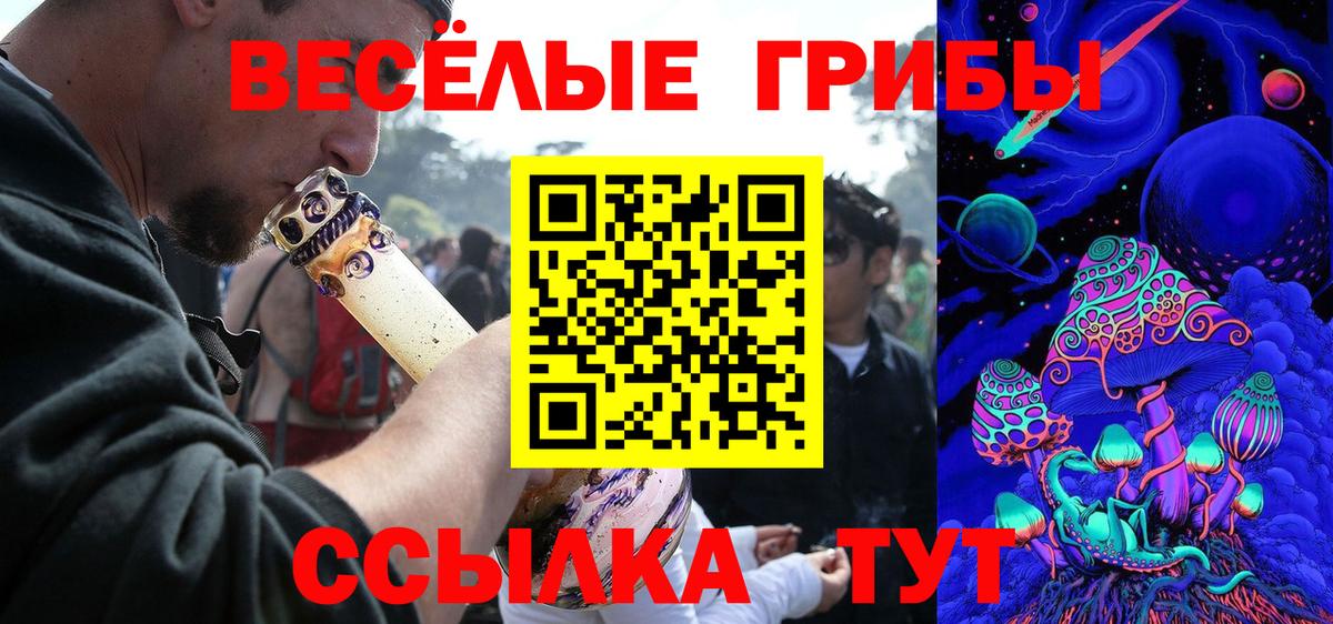 Псилоцибиновые грибы ЛСД Темрюк