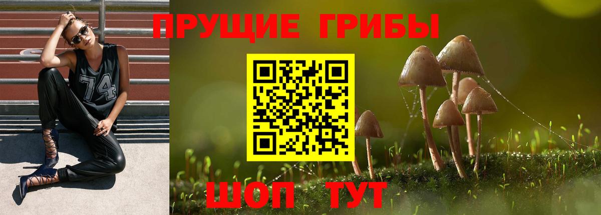 Псилоцибиновые грибы ЛСД Темрюк