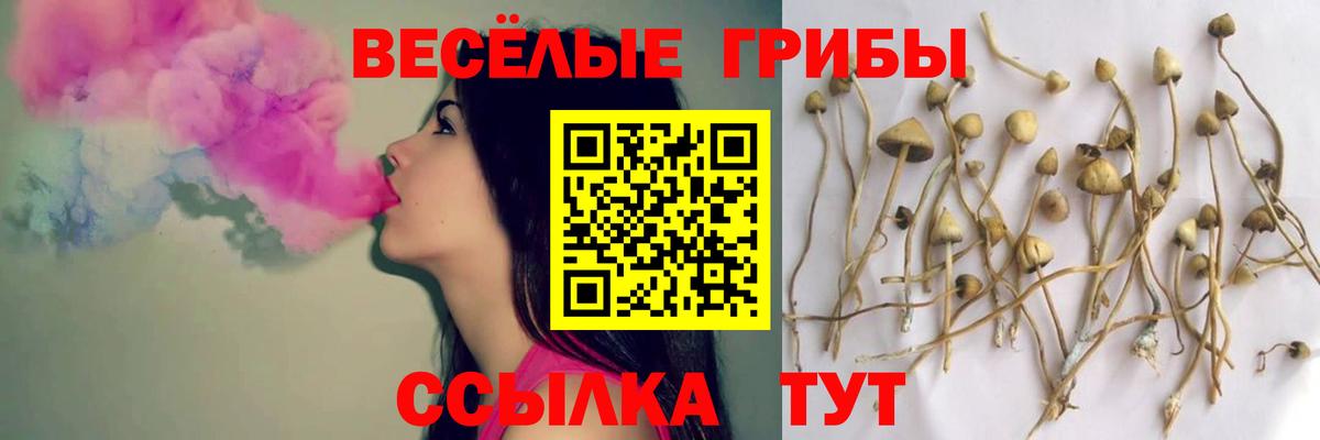 Галлюциногенные грибы Cubensis  Темрюк 